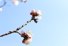 关沟栈道-陌上寒